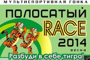 «Смугастий Race 2014» Гр-р-р-р!