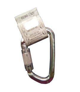 Карабін Climbing Technology Large WG (Полірований), silver
