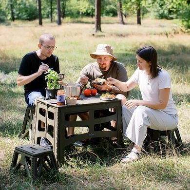 Стол складной пластиковый Tribe Camp Table Low T-EF-0003 Black, black, Столы для пикника
