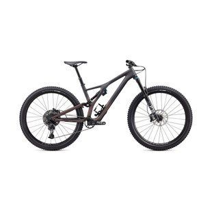 Велосипед Specialized SJ COMP CARBON EVO 29 2020, CARB/GUN, 29, S2, Горные, МТБ двухподвес, Универсальные, 175-188 см, 2020