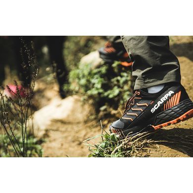 Кросівки Scarpa Ribelle Run XT, Gray/Tonic, Трекінгові, Бігові, Для чоловіків, 44.5, Без мембрани, Київ, Харків, Одеса, Днiпро, Запоріжжя, Львів, Кривий Ріг, Вінниця, Полтава, Чернігів, Черкаси, Суми, Хмельницький, Чернівці, Рівне, Італія