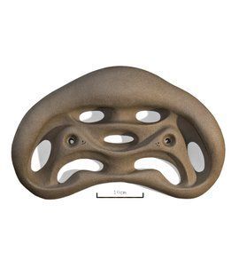 Фінгерборд Ukrholds Fingerboard, Multi color