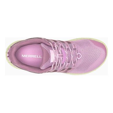 Кроссовки Merrell Women's Antora 3, fondant/willow, Трекинговые, Беговые, Для женщин, 40, Без мембраны, Киев, Харьков, Одесса, Днепр, Запорожье, Львов, Кривой Рог, Винница, Полтава, Чернигов, Черкассы, Сумы, Хмельницкий, Черновцы, Ровно