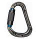 Карабін First Ascent Gaston Autolock, gray