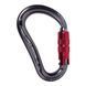 Карабін CAMP Atom 2Lock, Gun metal