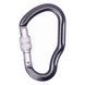Карабін First Ascent Dizzy, grey
