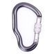 Карабін First Ascent Dizzy, grey
