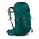 Рюкзак Osprey Tempest 34, Jasper Green, Для жінок, Похідні рюкзаки, З клапаном, XS/S, 34, Київ, Харків, Одеса, Днiпро, Запоріжжя, Львів, Кривий Ріг, Вінниця, Полтава, Чернігів, Черкаси, Суми, Хмельницький, Чернівці, Рівне