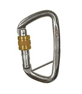 Карабін Climbing Technology D-Shape SG (screw gate), silver