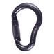 Карабин First Ascent PLUM Black, black