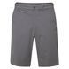 Шорти Rab Men's Momentum Shorts 9" Graphene, Graphene, Шорти, Для чоловіків, 28