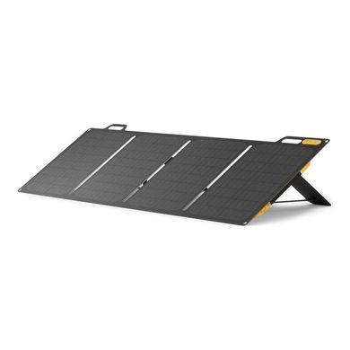 Солнечная панель BioLite SolarPanel 100, black, Солнечные панели, США