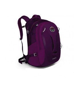 Рюкзак Osprey Celeste 29, Pomegranate purple, Для женщин, Городские рюкзаки, Без клапана, One size, 29, Киев, Харьков, Одесса, Днепр, Запорожье, Львов, Кривой Рог, Винница, Полтава, Чернигов, Черкассы, Сумы, Хмельницкий, Черновцы, Ровно