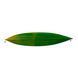Каяк Rainbow Kayaks Kayak&nbsp;Kontiki&nbsp;Base, multicolor, Каяки, Пластиковые, sit-in, Двухместные, Италия
