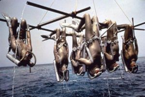 Как ухаживать за гидрокостюмом для дайвинга и подводной охоты?