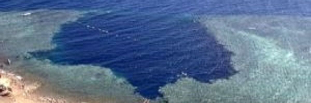 Погода В Дахабе На Новый Год Погода В Дахабе На Новый Год