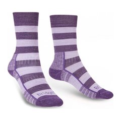 Шкарпетки Bridgedale Women's LightWeight Merino Performance, Lilac/Purple, S, Для жінок, Трекінгові, Комбіновані, Великобританія, Великобританія