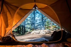 Топ-10 лучших туристических палаток