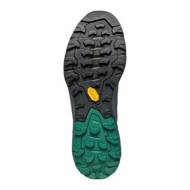 Кросівки Scarpa Rapid GTX, Anthracite/Alpine Green, Трекінгові, Бігові, Для чоловіків, 44, З мембраною, Київ, Харків, Одеса, Днiпро, Запоріжжя, Львів, Кривий Ріг, Вінниця, Полтава, Чернігів, Черкаси, Суми, Хмельницький, Чернівці, Рівне, Італія