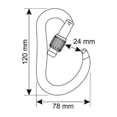Карабін CAMP Atom Lock, black