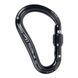 Карабін CAMP Atom Lock, black