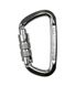 Карабін Climbing Technology D-Shape TG (silver), silver