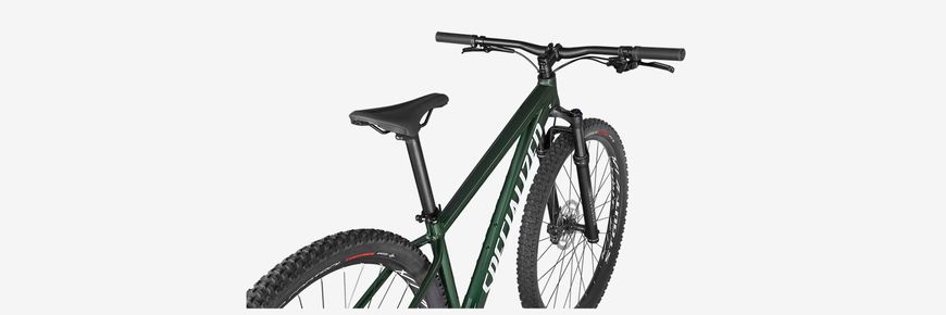 Велосипед Specialized ROCKHOPPER EXPERT 29 2020, OAKGRNMET/METWHTSIL, 29, M, Гірські, МТБ хардтейл, Універсальні, 165-178 см, 2020