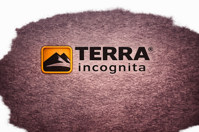 логотип Terra Incognita