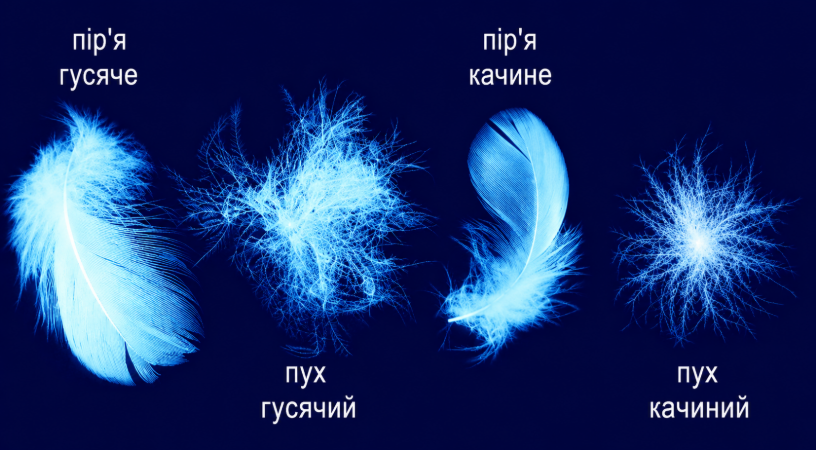качиний пух або гусячий