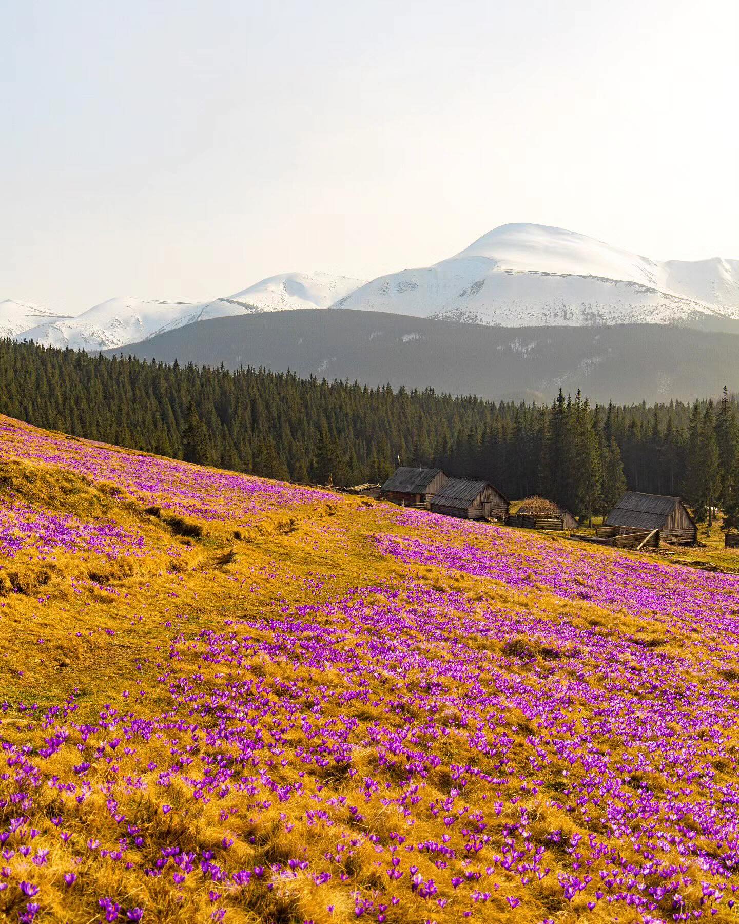 колыбы в Карпатах