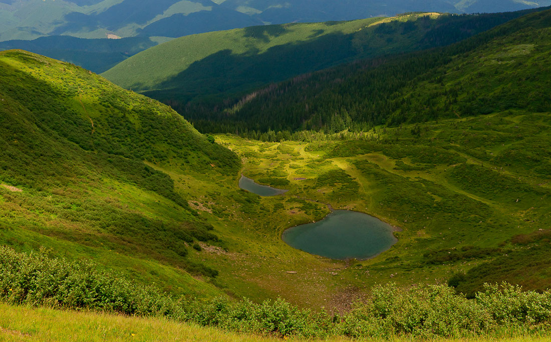 озеро Ворожеска, Свидовець