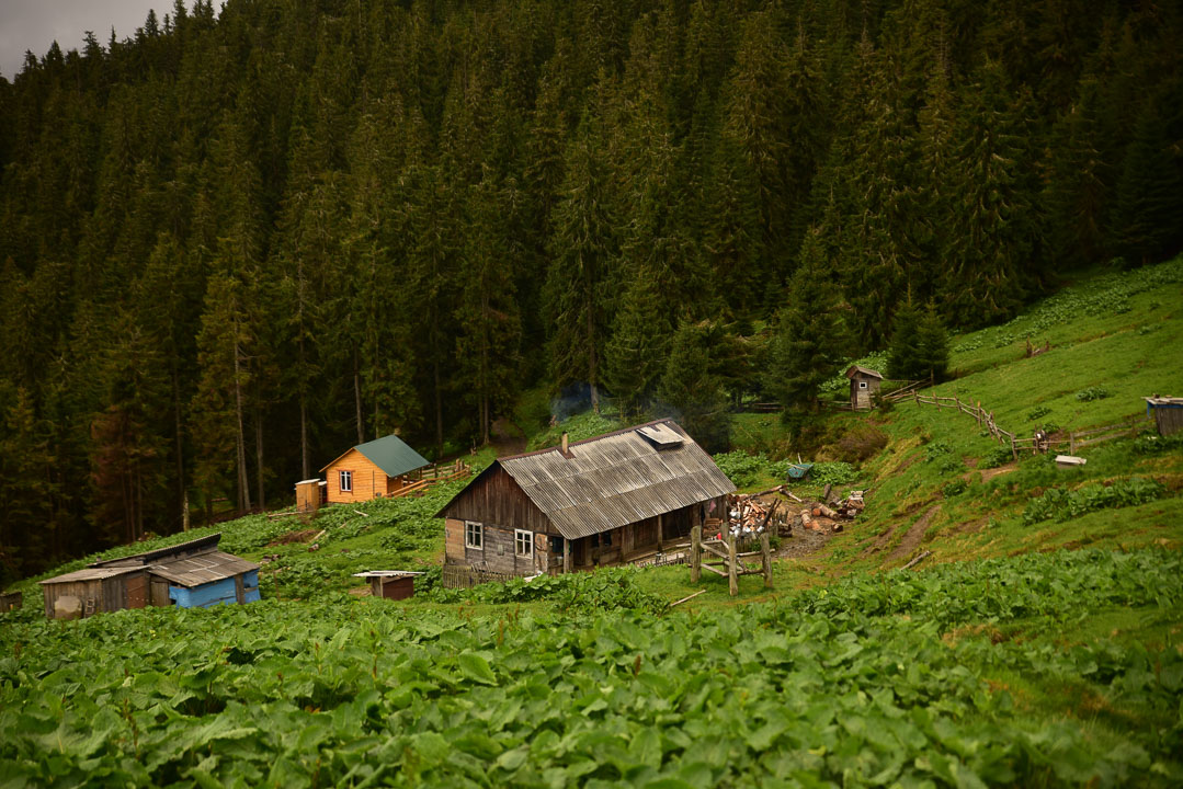 полонина Щівник